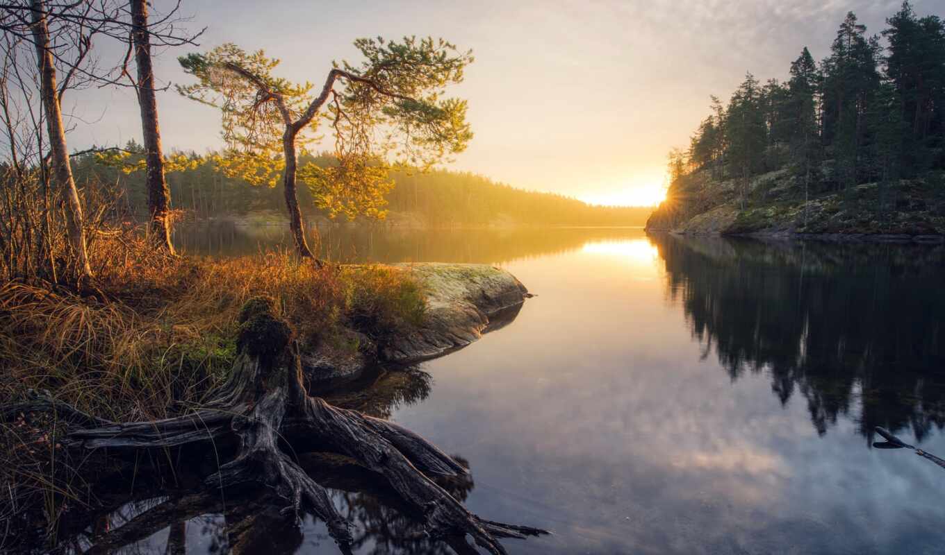 lake, nature, autumn, morning