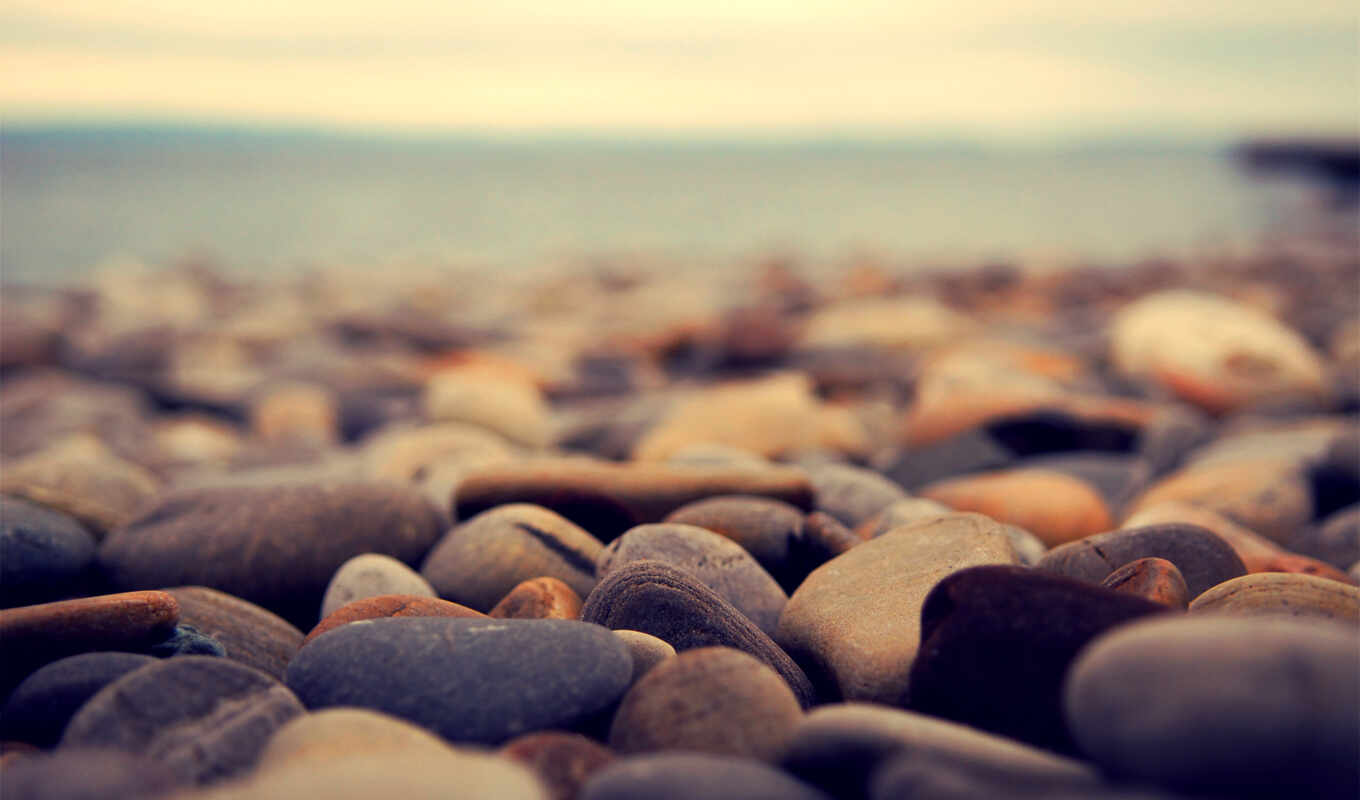 macro, sea, coast, pebbles, stones
