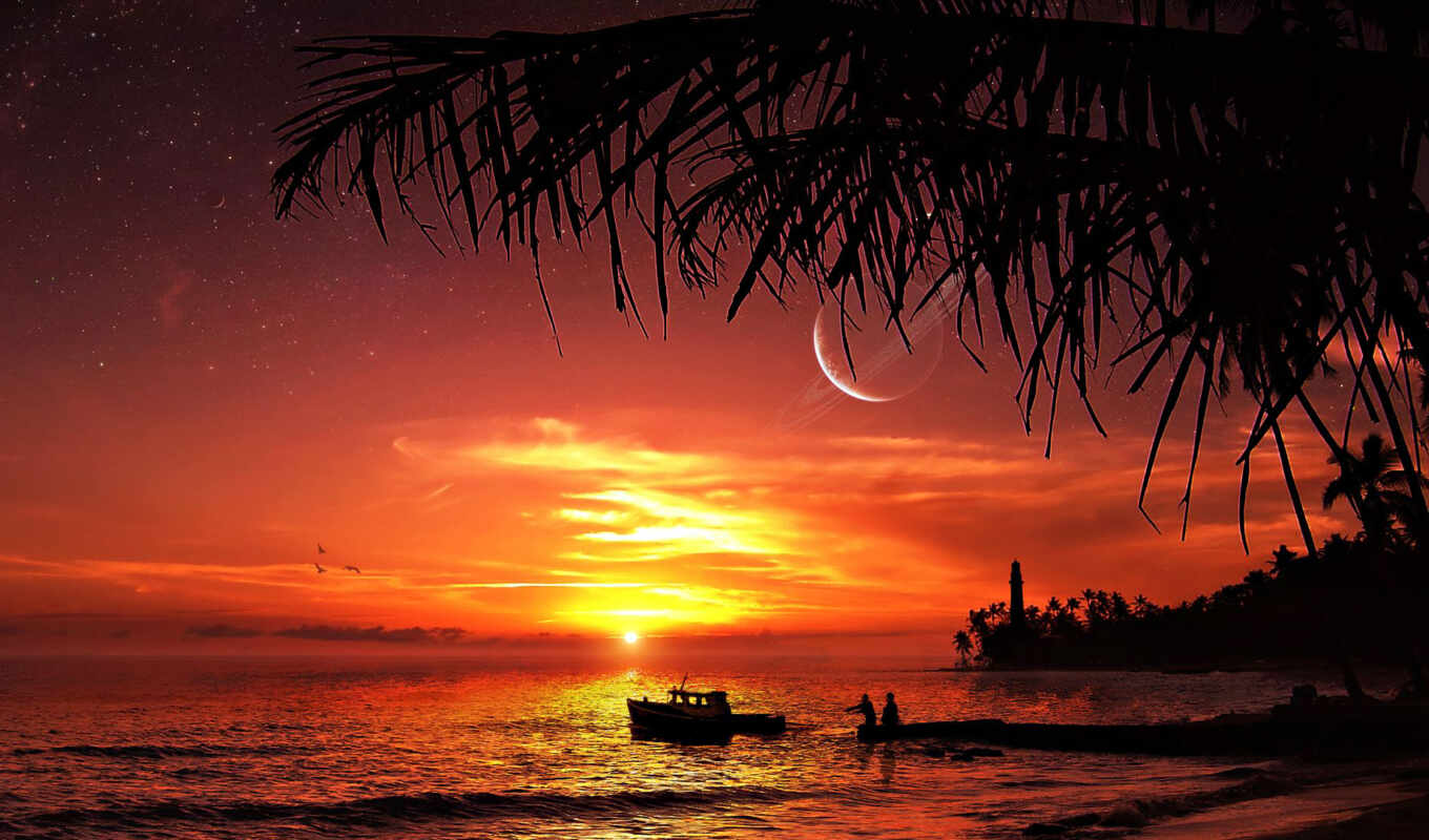 sunset, beautiful, sea, the beach, palm trees, oboi, beautiful, a boat, suns