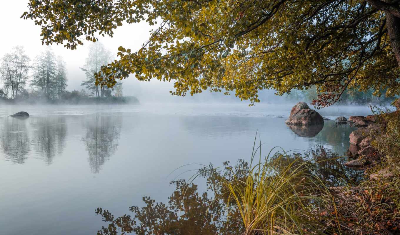 озеро, природа, фото, лес, яркий, красивый, туман, приворот