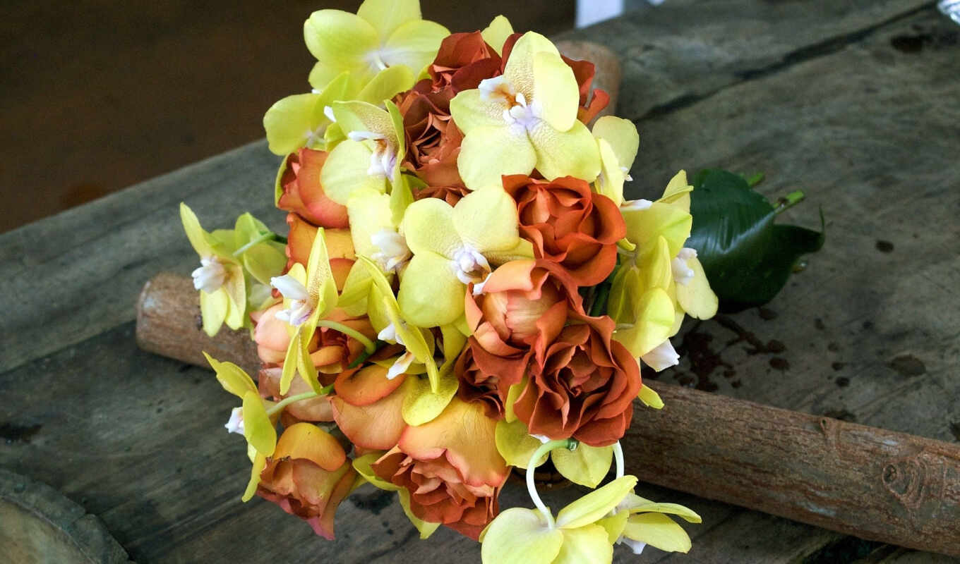 flowers, orchid, bouquet