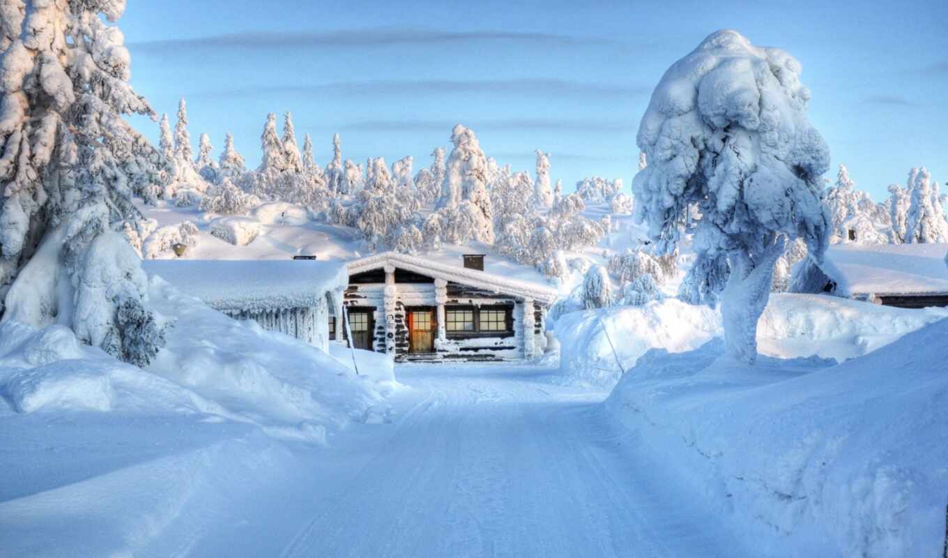 snow, winter, forest, lodge, trees, in winter