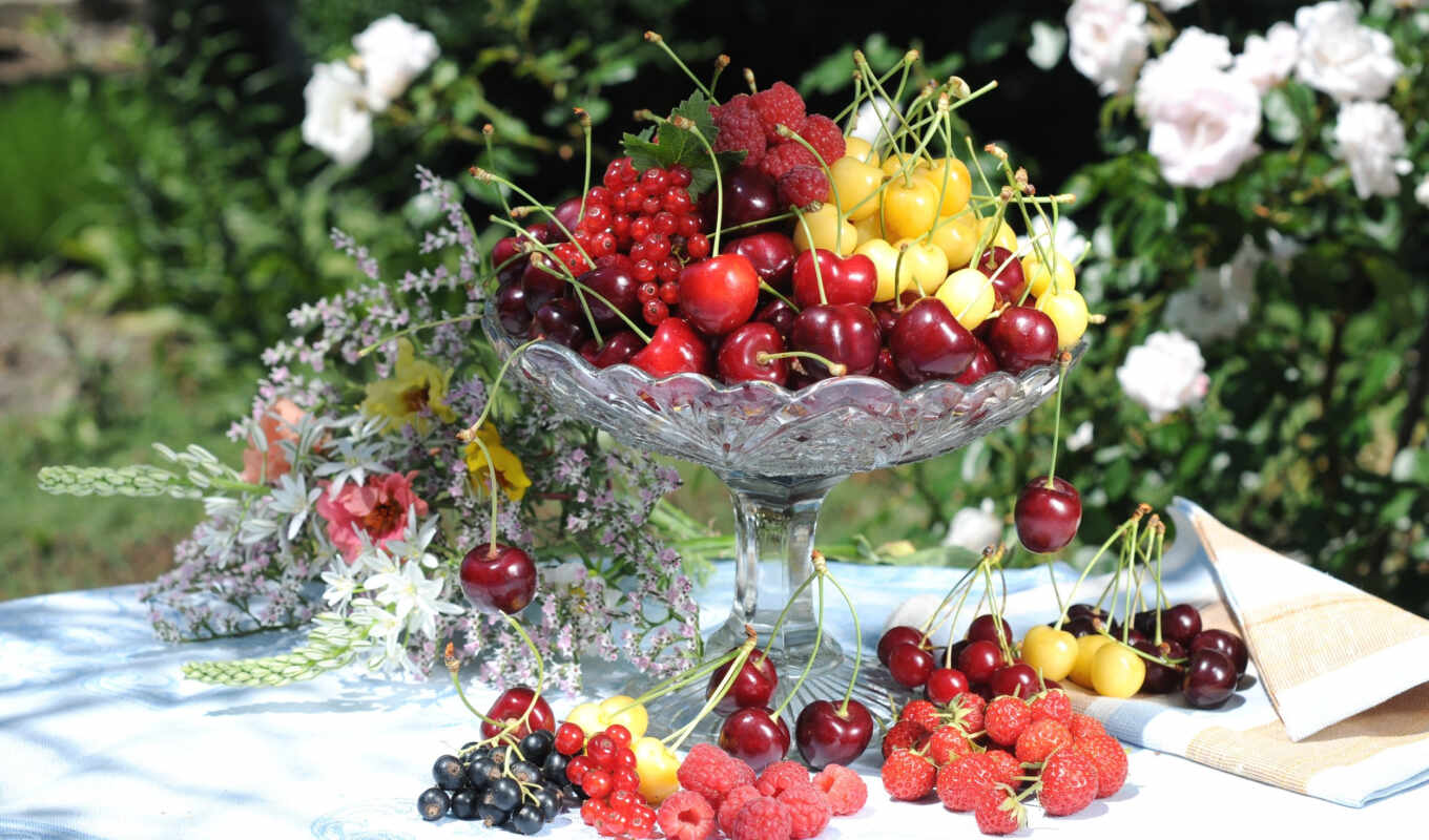 фото, great, cherry, плод, ягода, натюрморт