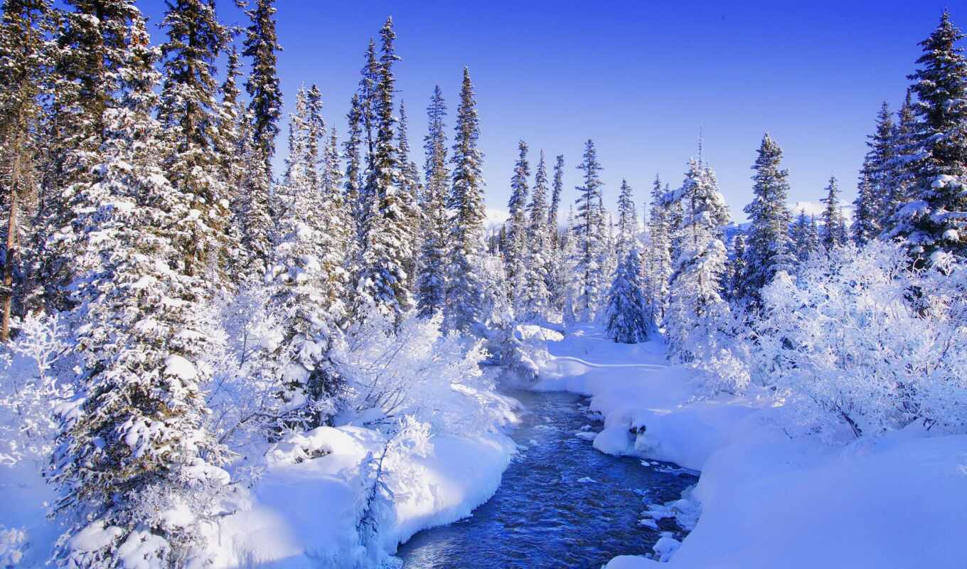 природа, коллекция, снег, красивые, winter, лес, яndex