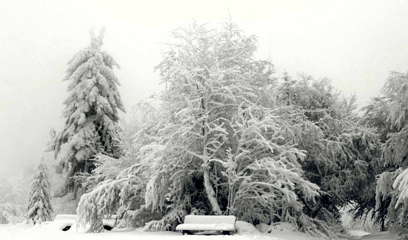 russian, snow, reverso