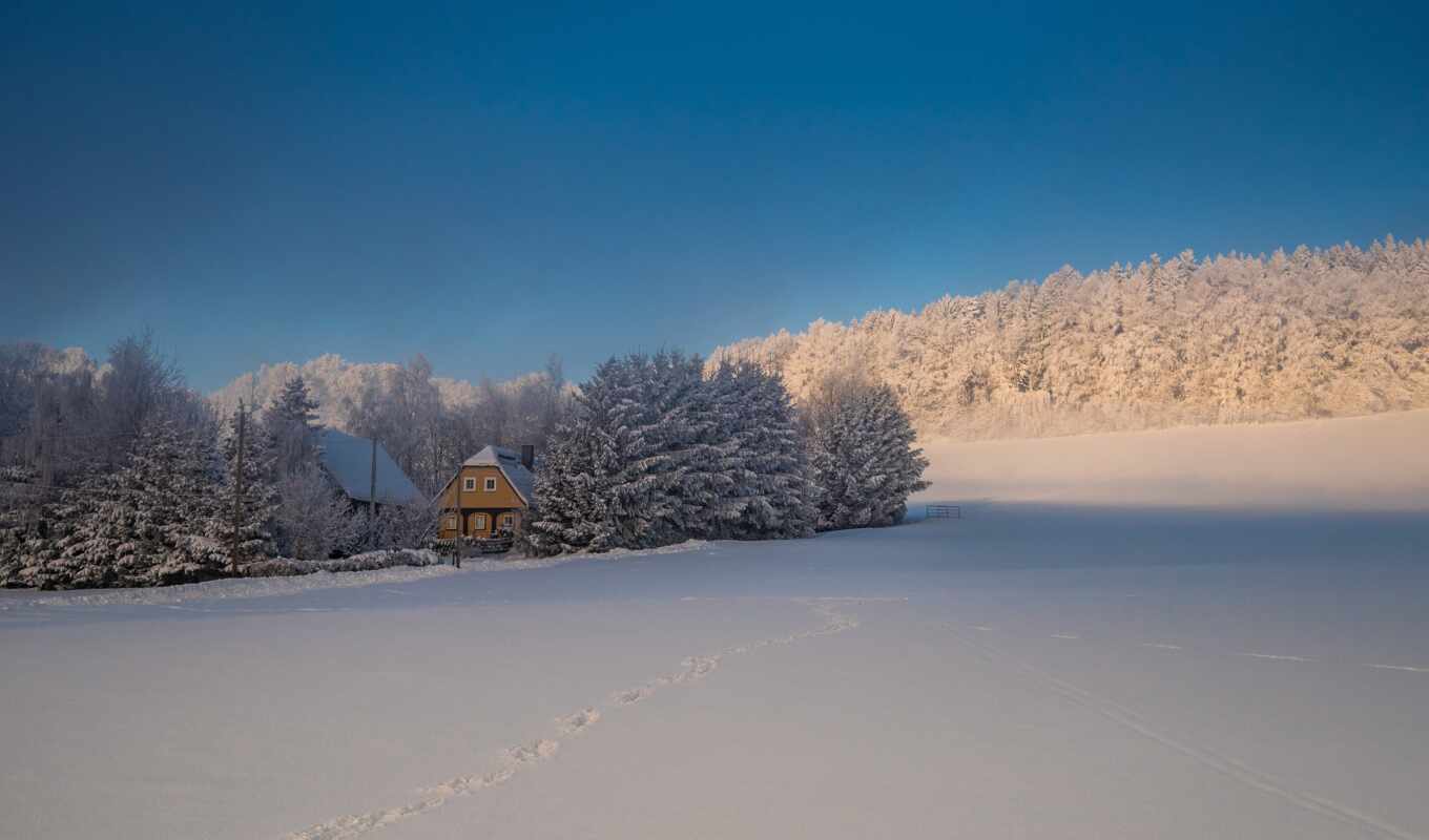 house, дерево, fir, снег, winter, гора, кларксон, id, footprint