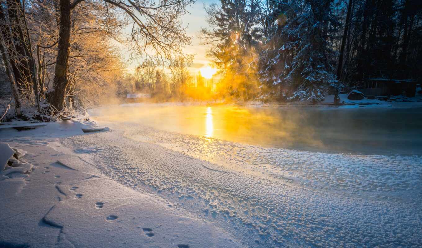 nature, snow, winter, morning, sunny