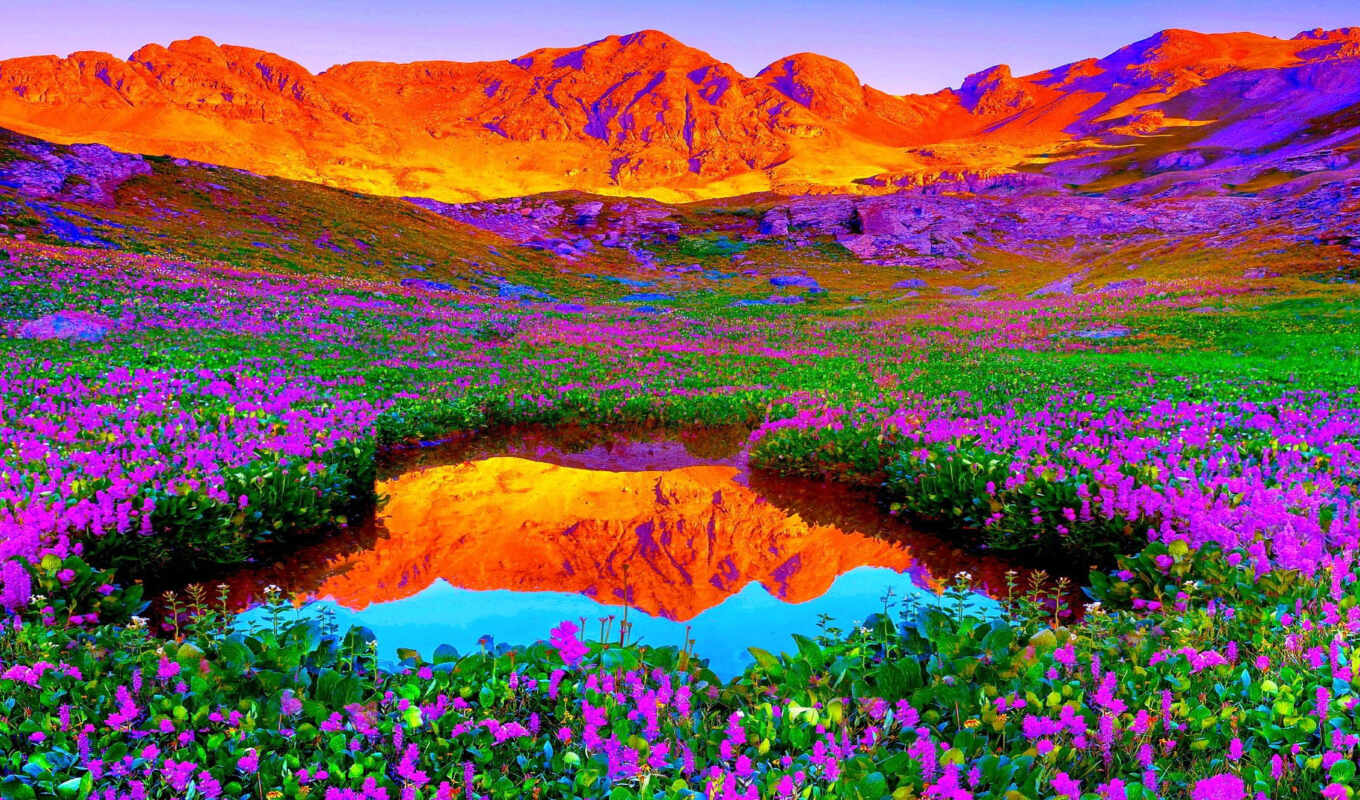 озеро, природа, небо, цветы, закат, луг, горы, цветов