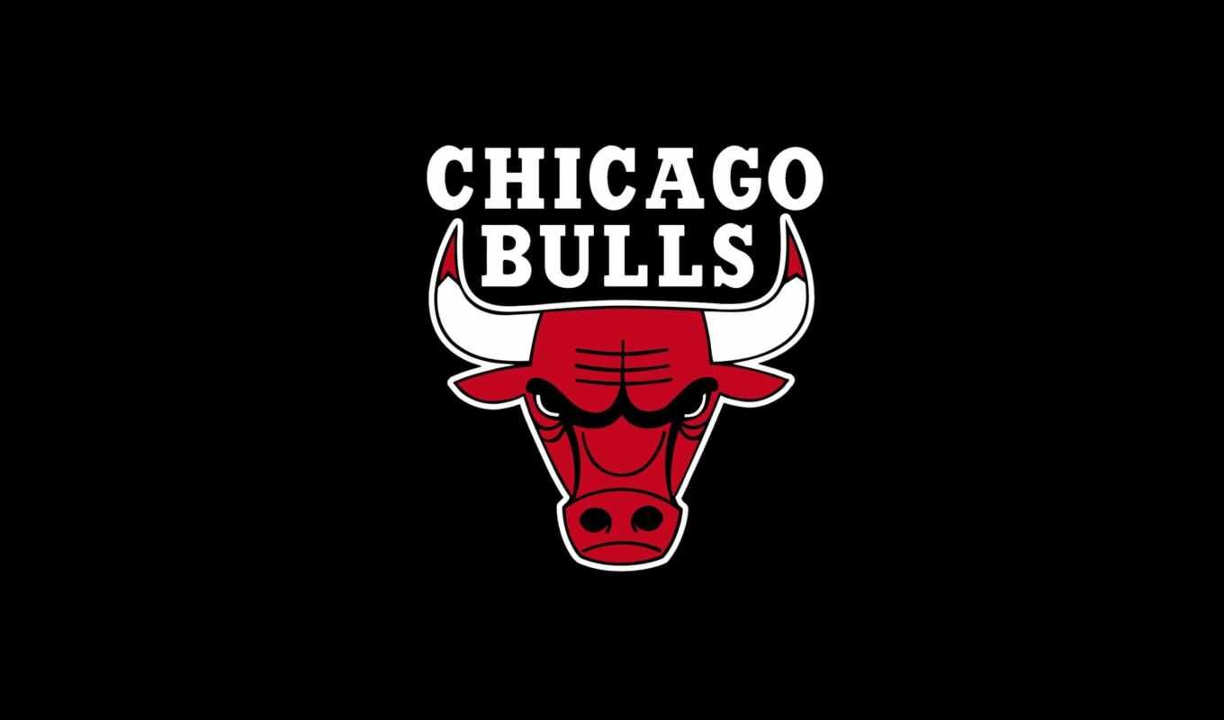 free, big, beautiful, basketball, chicago, bull, shirokoformatnyi, bullzti