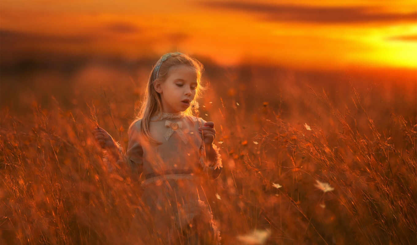 nature, flowers, love, face, sunset, girl, heart, romantic, meadow
