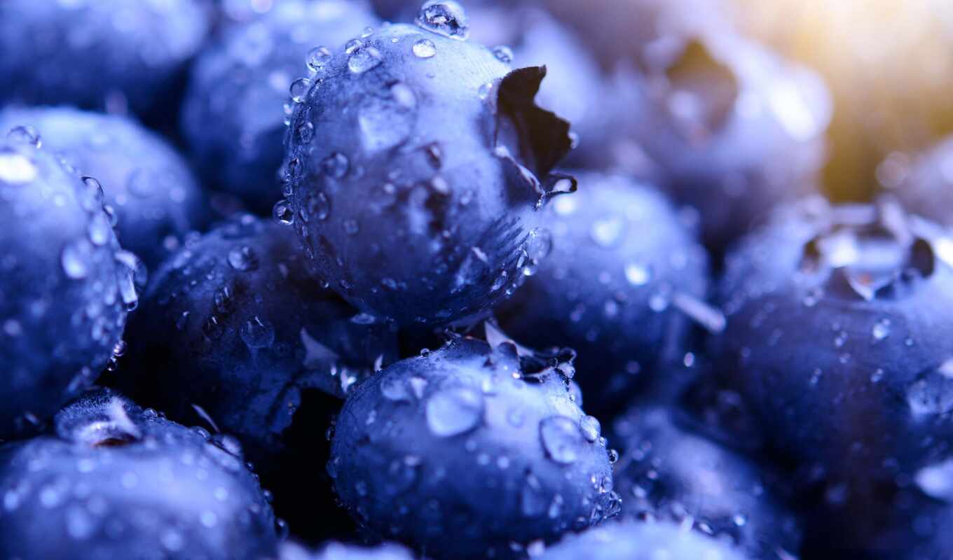 drop, free, background, space, pinterest, pin, dew, wood, blueberries, high - quality, makryi