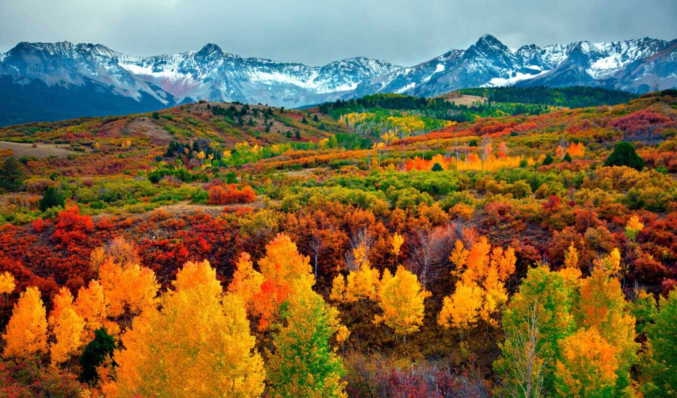nature, USA, beautiful, autumn, autumn, places, colorado, state, aspen