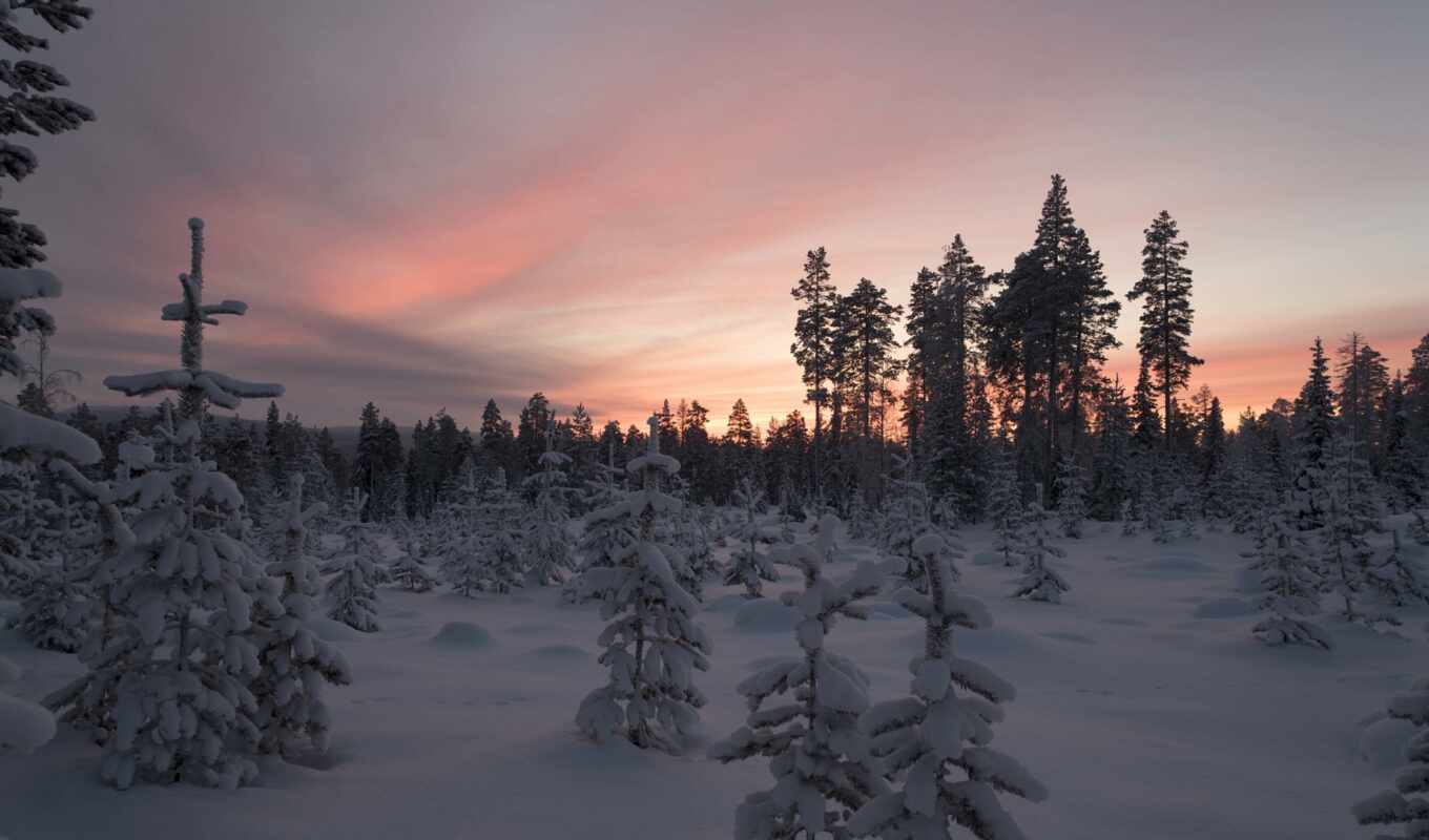 winter, Finland