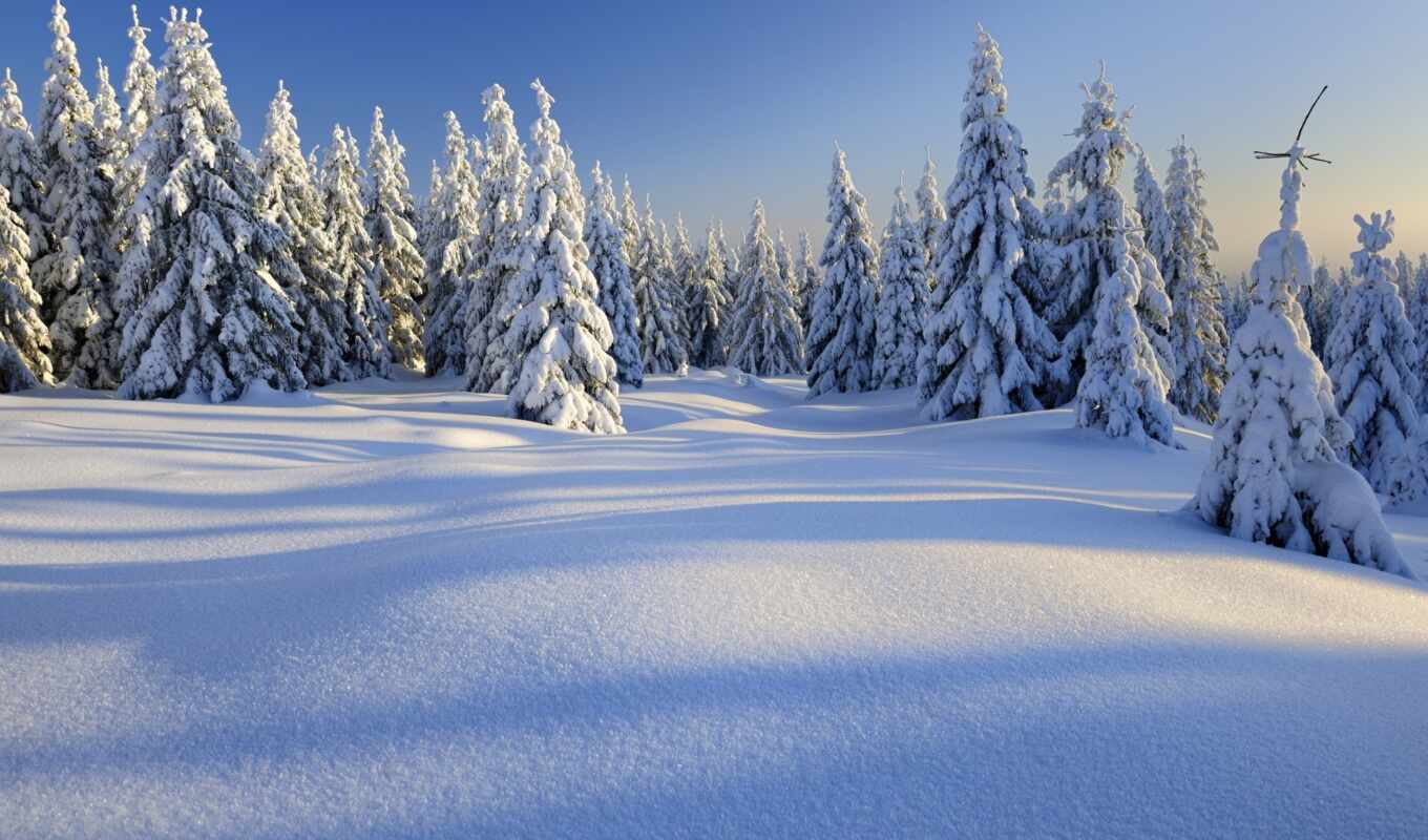 nature, snow, winter, landscape, trees, mountains