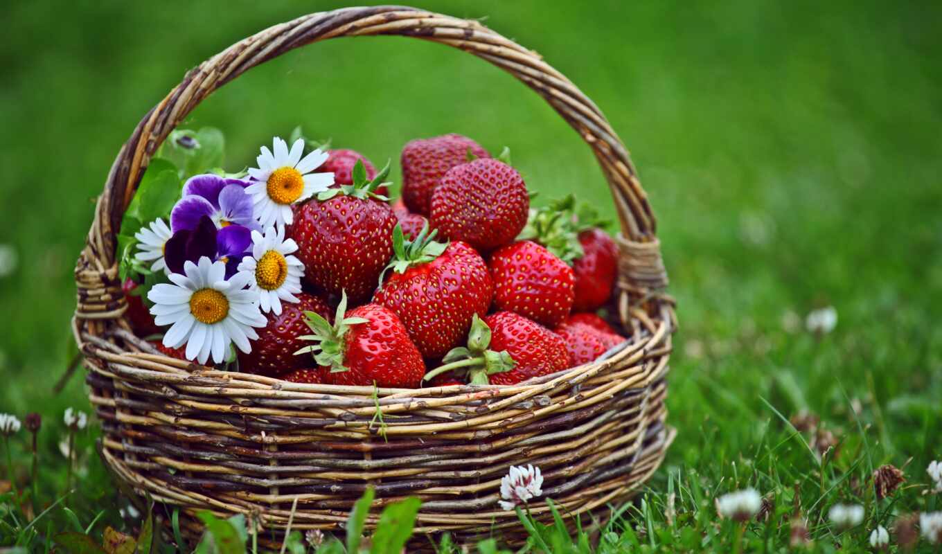 basket, strawberry, chamomile