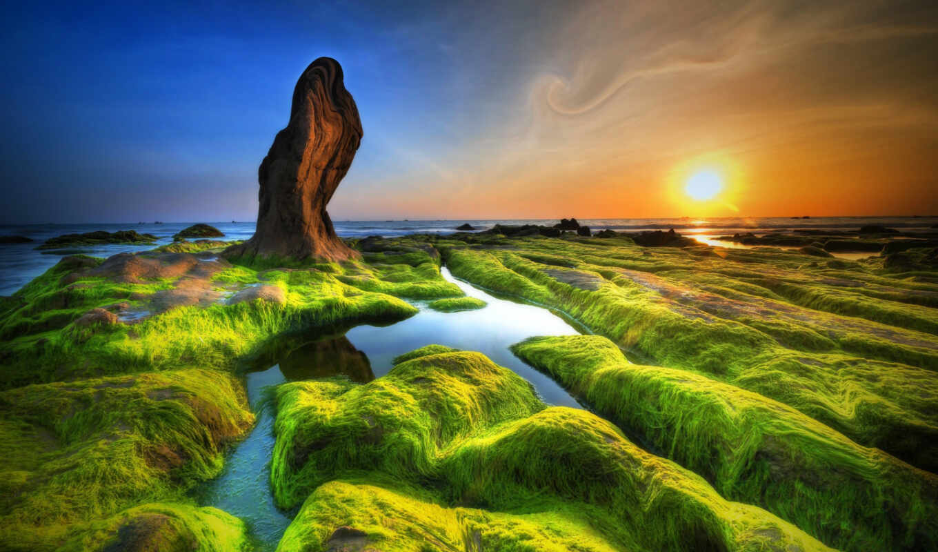 nature, green, sunset, water, rock, sea, moss, coast, reflection