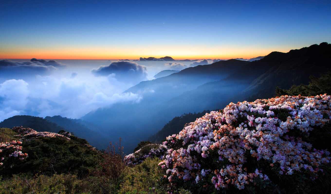 flowers, night, mountain, evening, cloud, beautiful, hill, fog