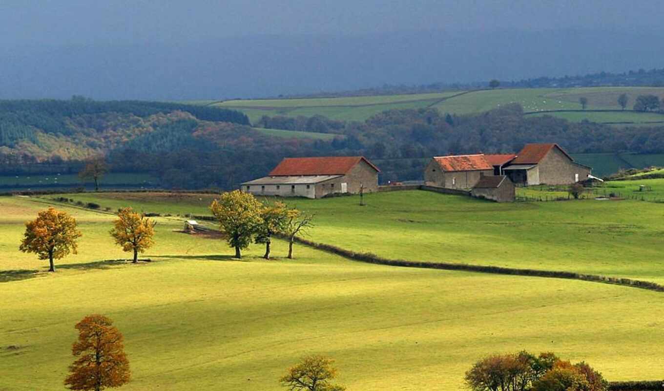 autumn, sunhome, crofter