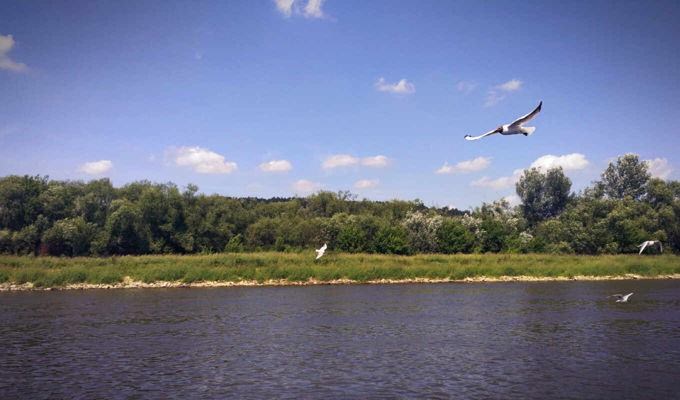 landscape, river, foreground, Vistula