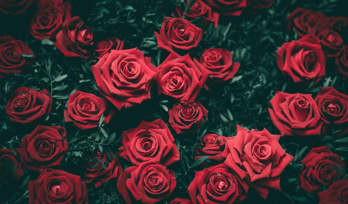 Розы на столе пнг