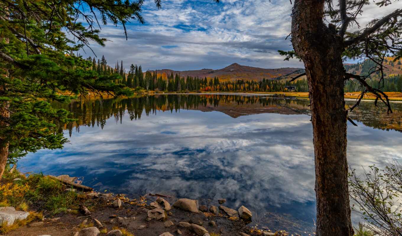 lake, tree, mountain, mix, reflection, utah, fore, broadleaf