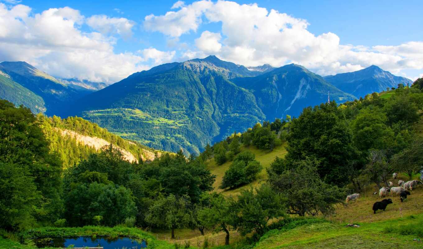природа, desktop, free, swiss, mountains, швейцария