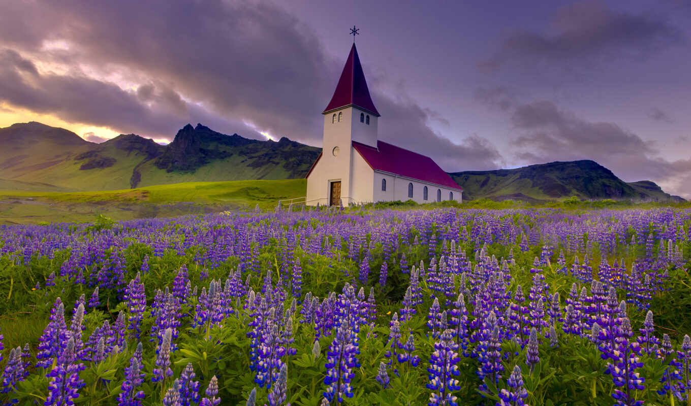 good, eye, may, far, see, iceland, standing, faith, vik, lupines