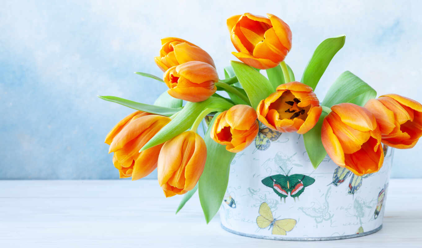 flowers, Monday, genus, day, friend, morning, orange, bouquet, tulip, postcard, korobok