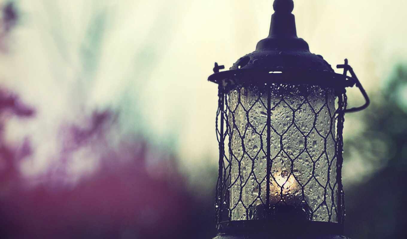 rain, lantern