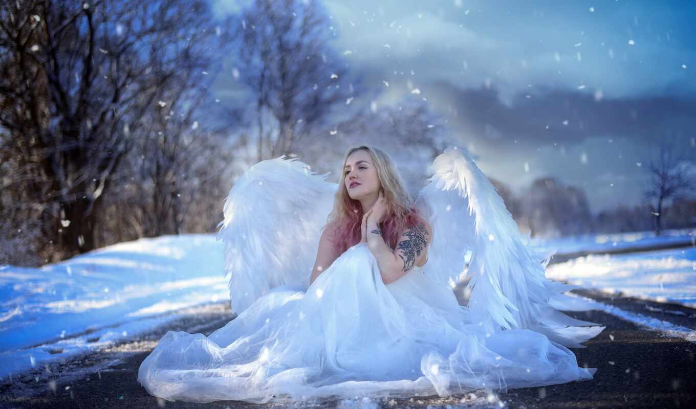 angel, wing