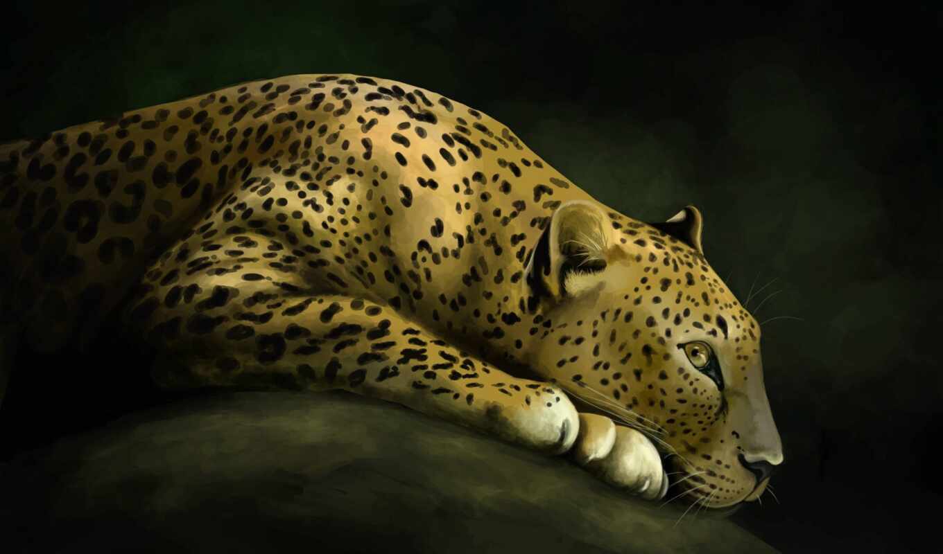 art, abstraction, cat, leopard, predator, wild, zhivotnye