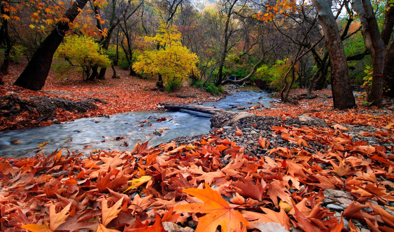 red, mountain, November, autumn, mouth, river, leaf, autumn, paesaggi, montagna, fore