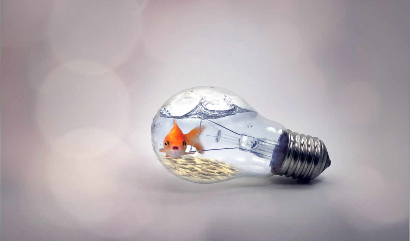 world, fish, light bulb, aquarium, lamp