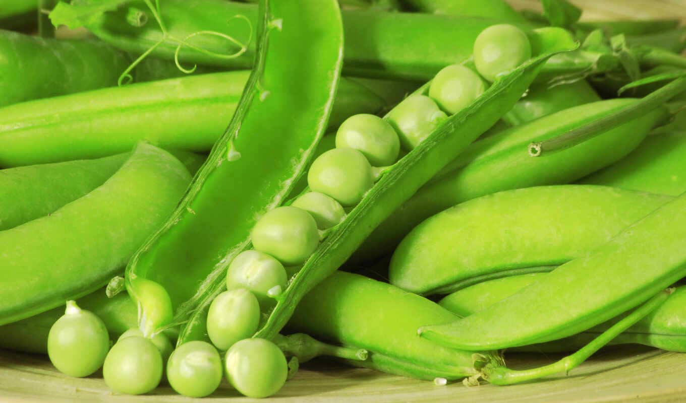 green, peas, clipart, raster, pea