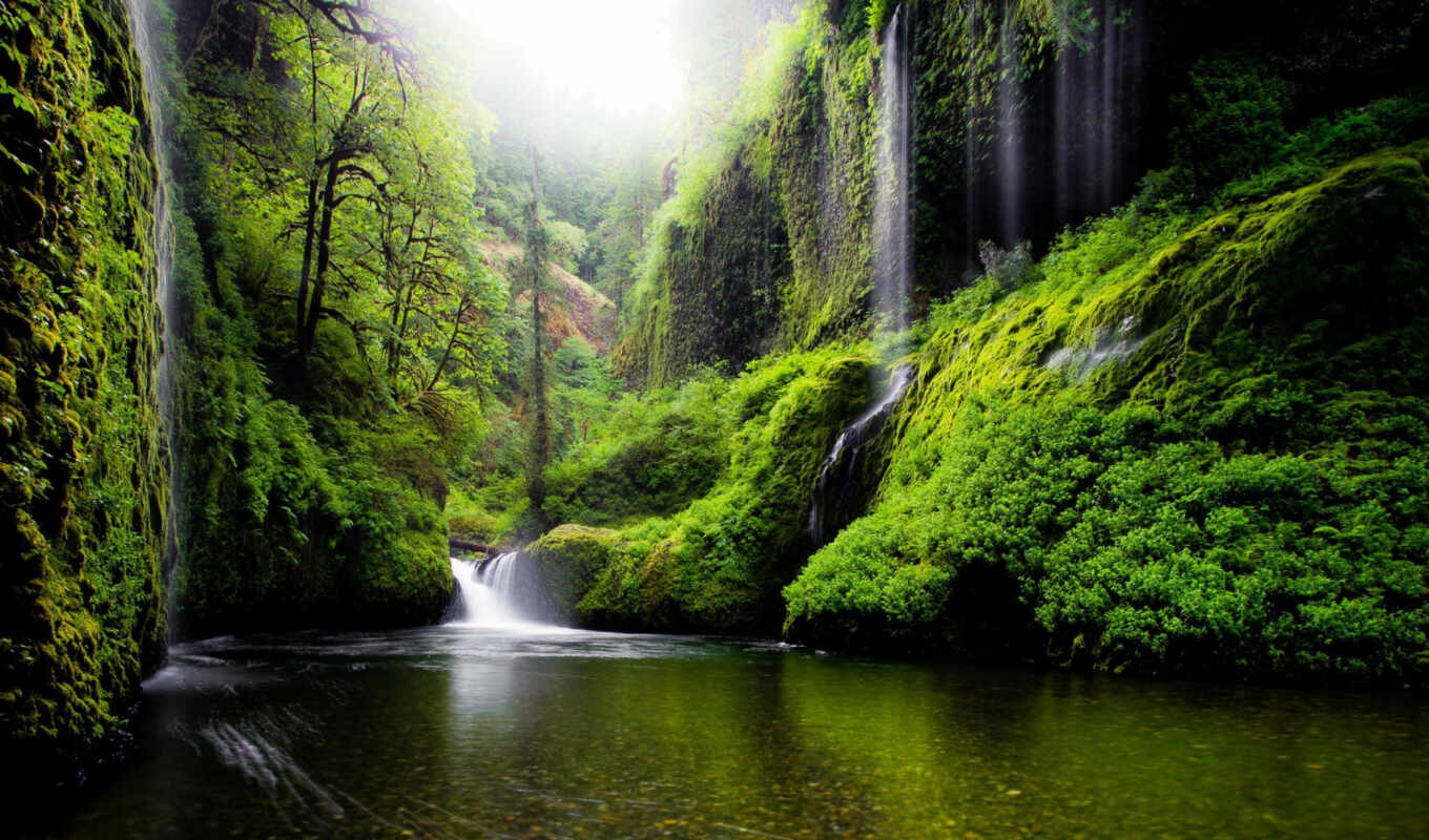 nature, green, water, USA, foliage, spring, river, waterfall, waterfalls, state