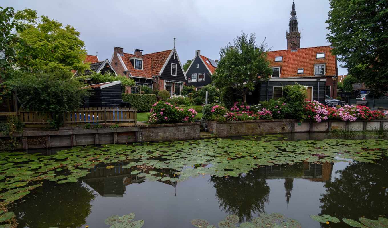 water, canal, screen, house, topic, feature, low, pa-se, Bush, edam, lily
