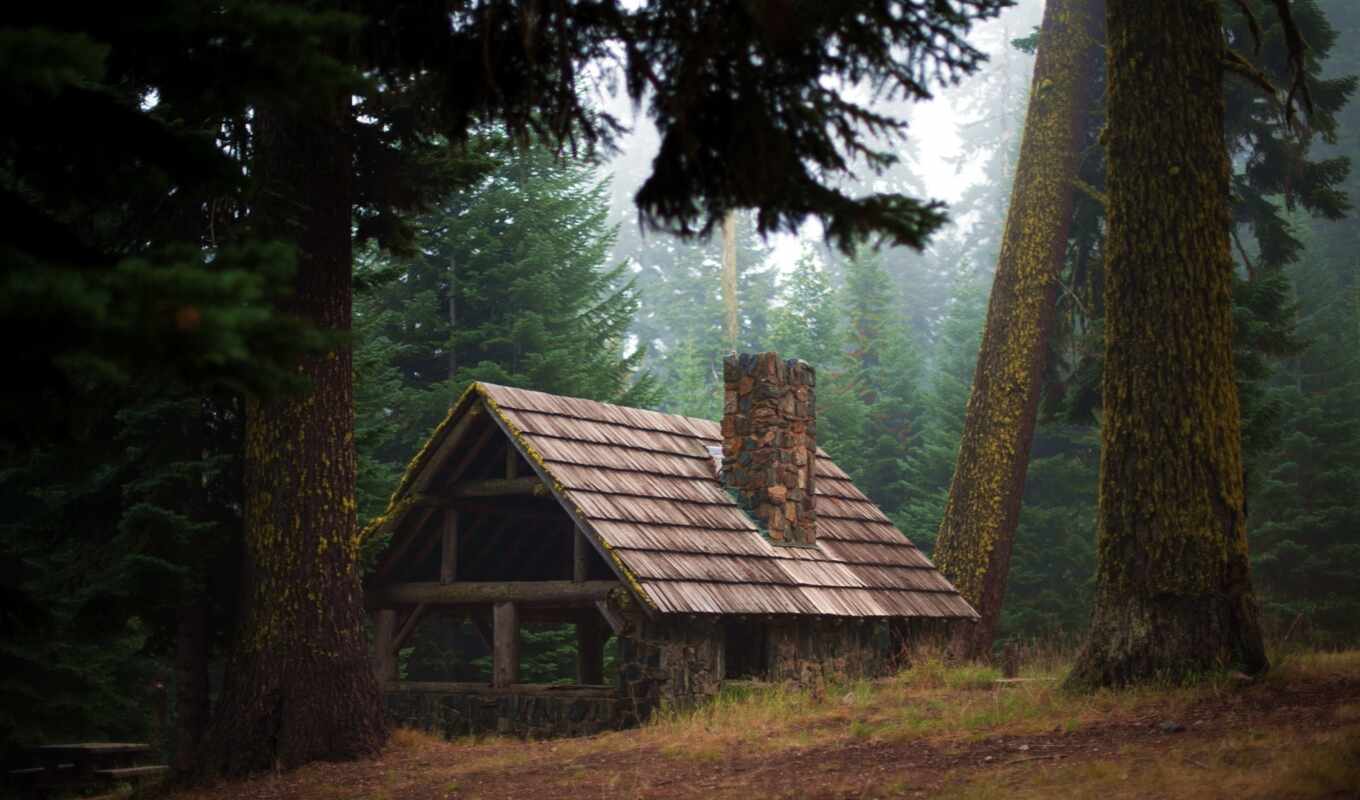 house, лес, lodge