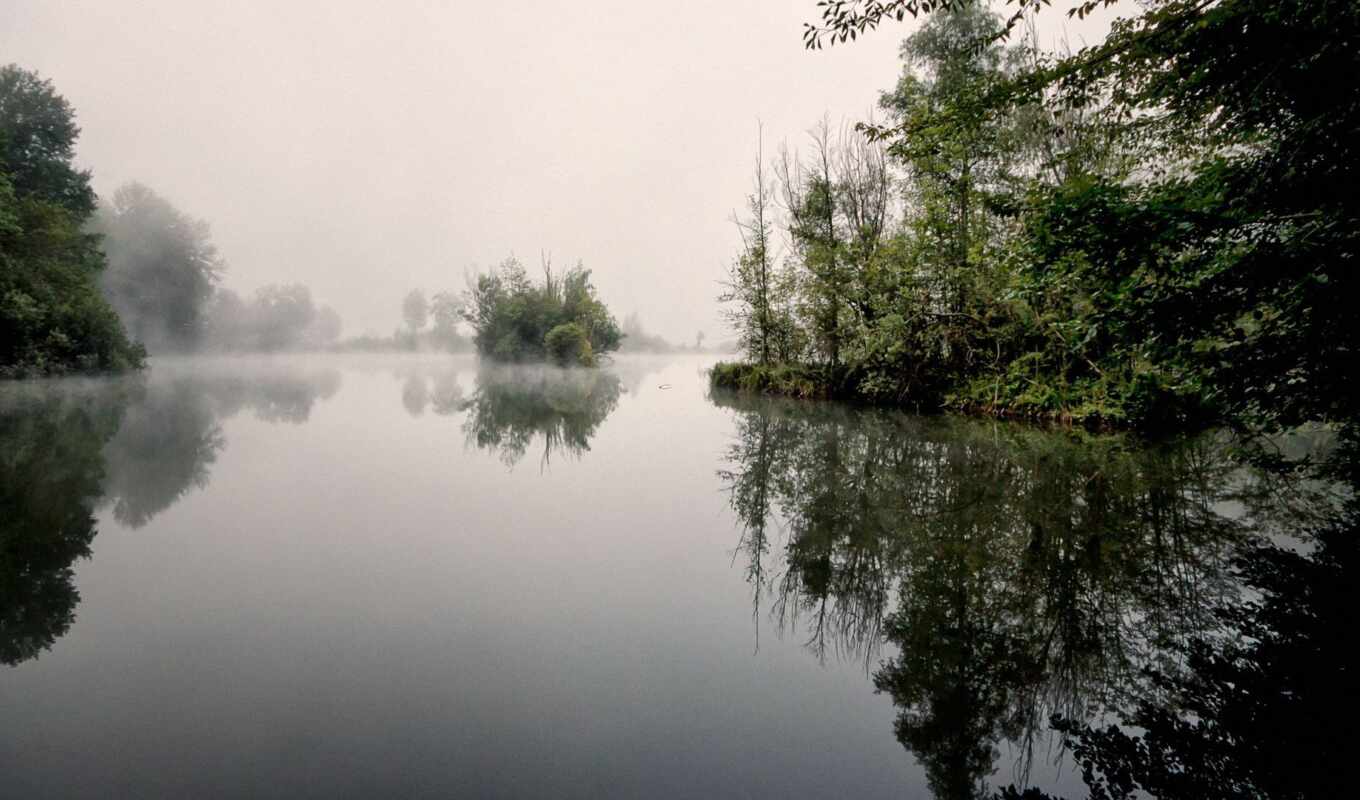 озеро, landscape, утро, туман, collector, тихая, заводь, спокойного, душевного