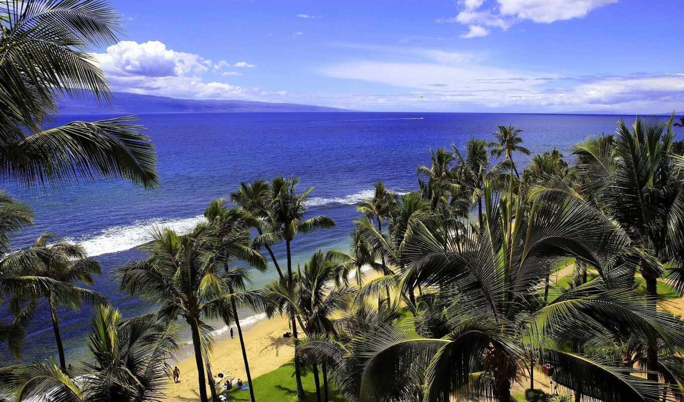hawaii, because