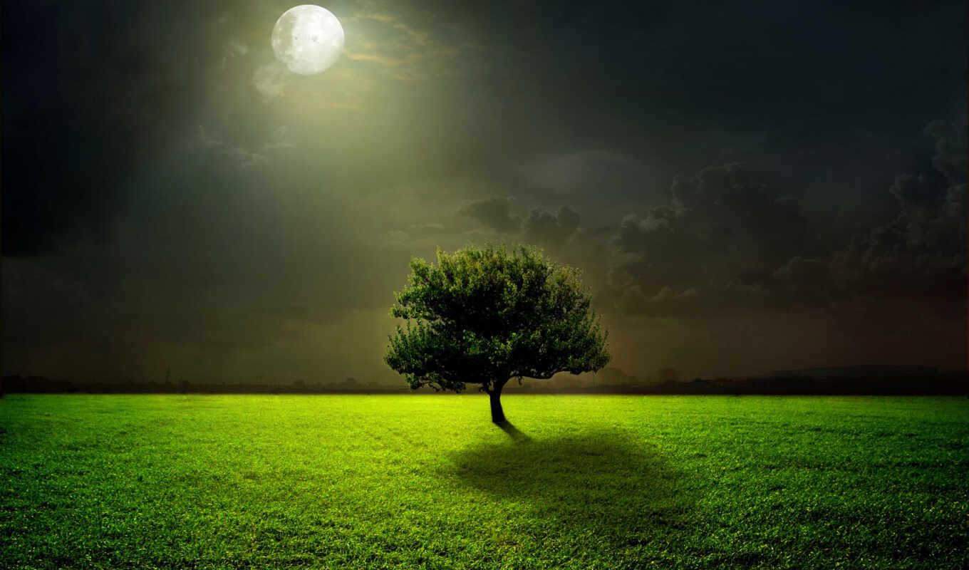 небо, дерево, трава, ночь, луна, день, clouds, moonlight