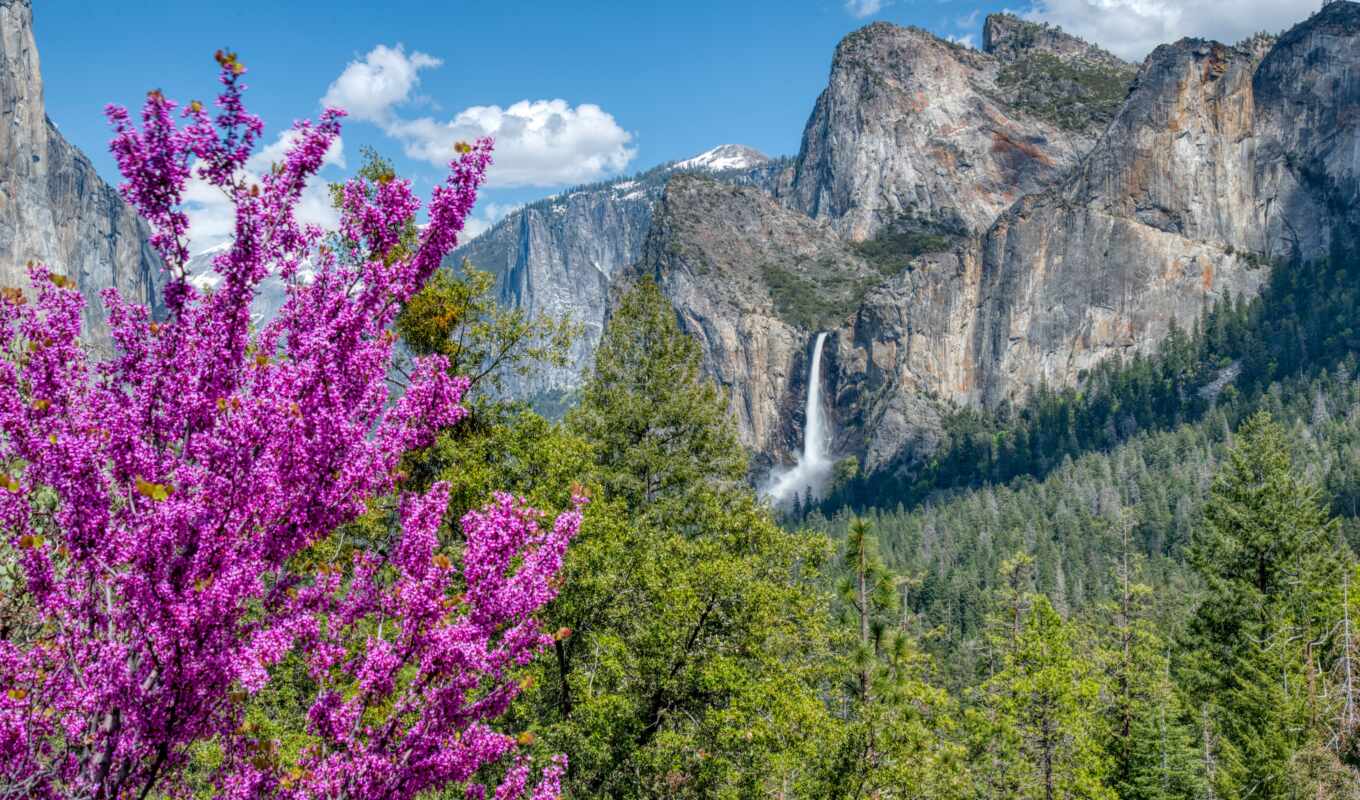mountain, california, park, national, valley, yosemite