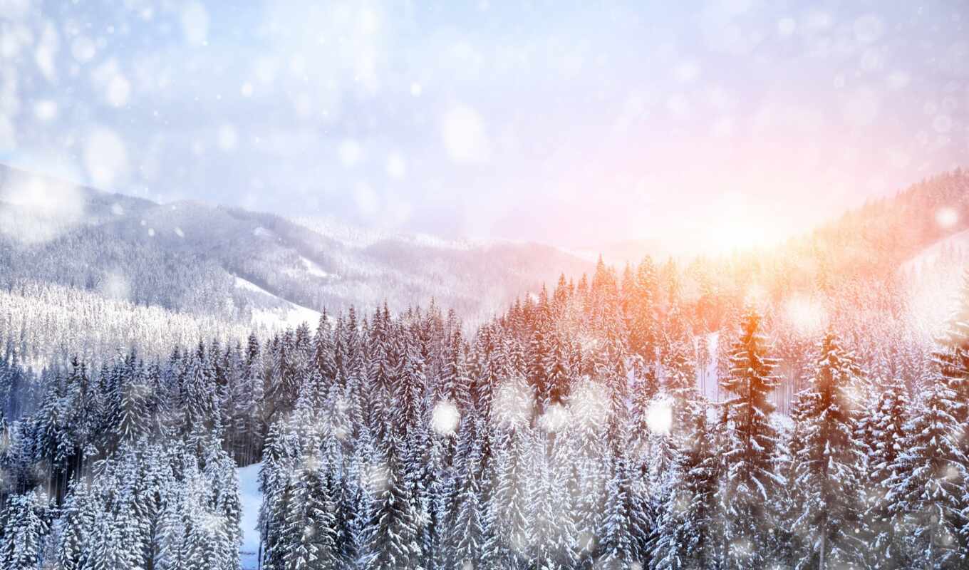 природа, снег, winter, landscape, высоком, январь, trees, горы