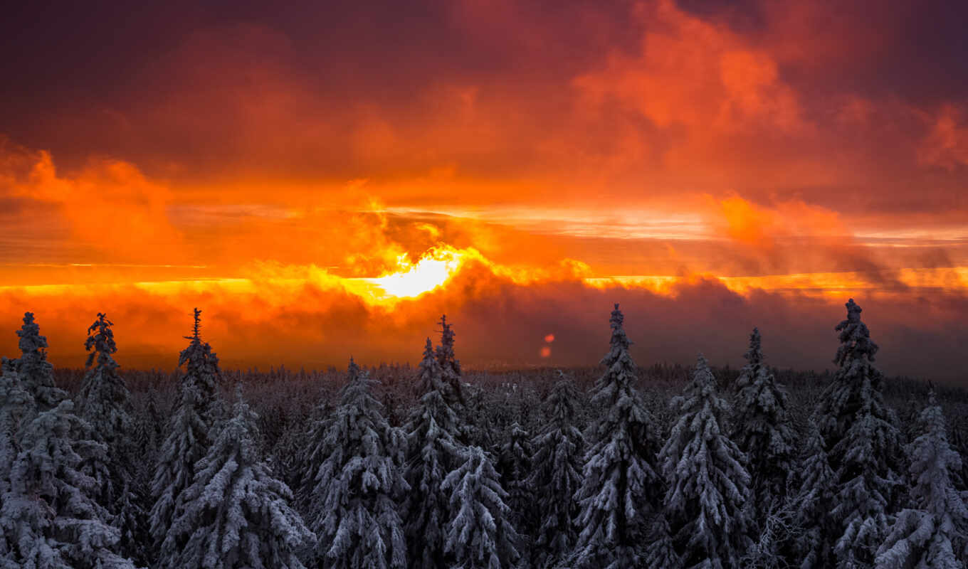 облака, снег, лес, красный, восход