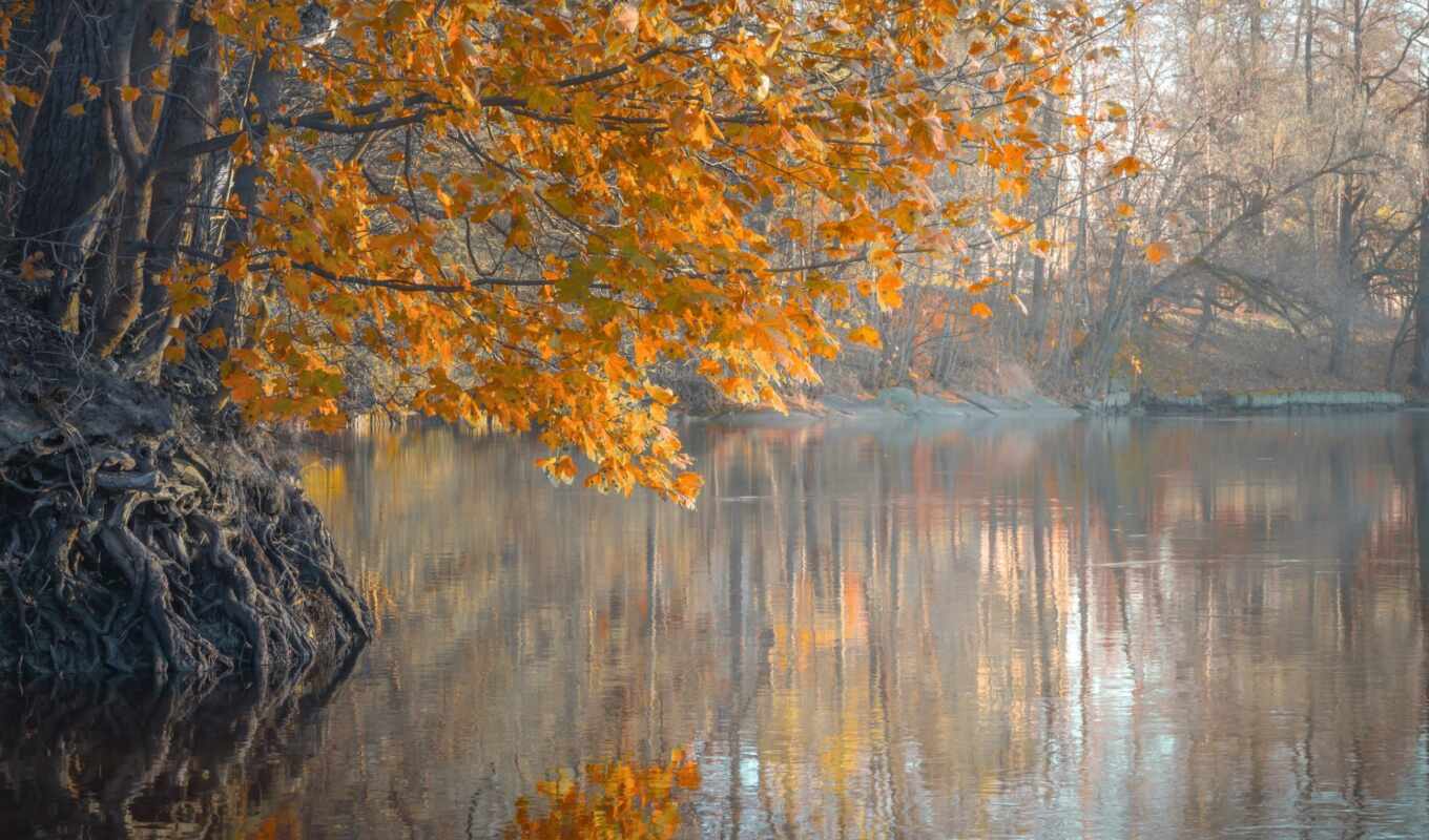 autumn, morning, river, fog