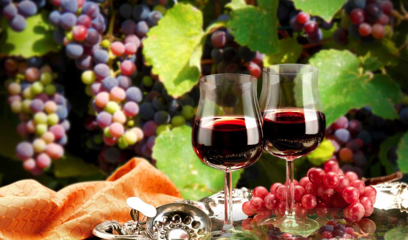 glass, вино, цена, настроение, виноград, напиток, бутылка, шампанское, compare