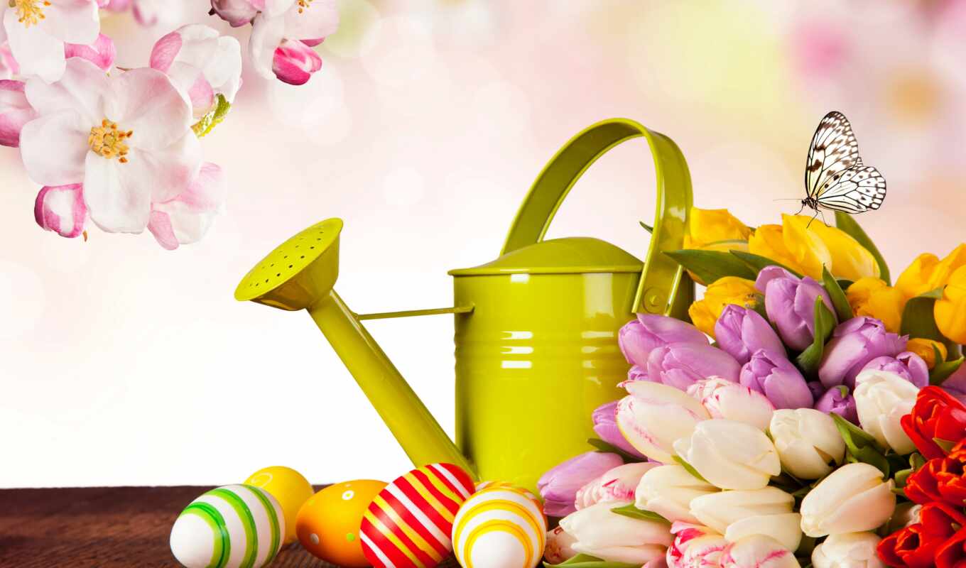 photo, free, background, picture, flowers, tulips, easter, eggs, holidays