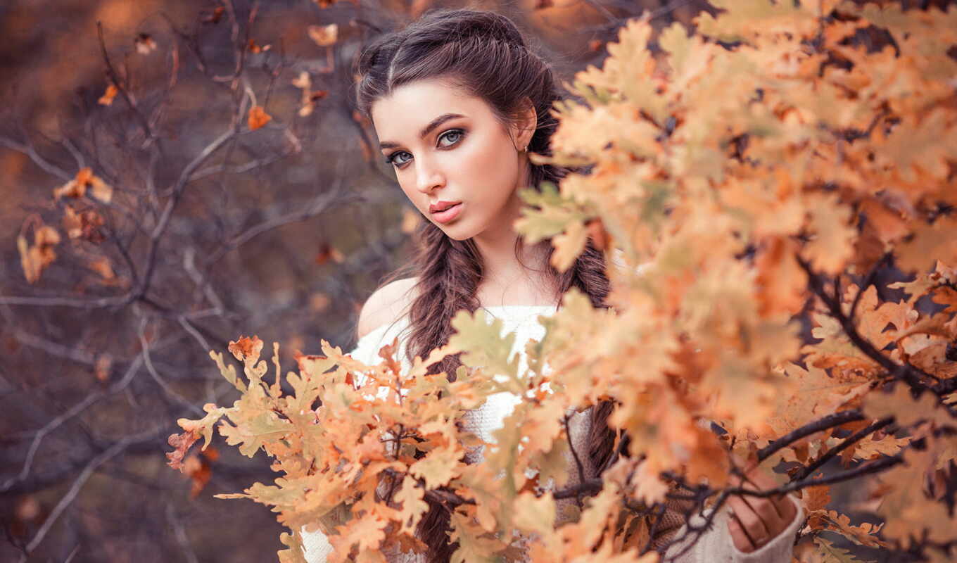girl, picture, autumn, bush, Sergey, screensavers