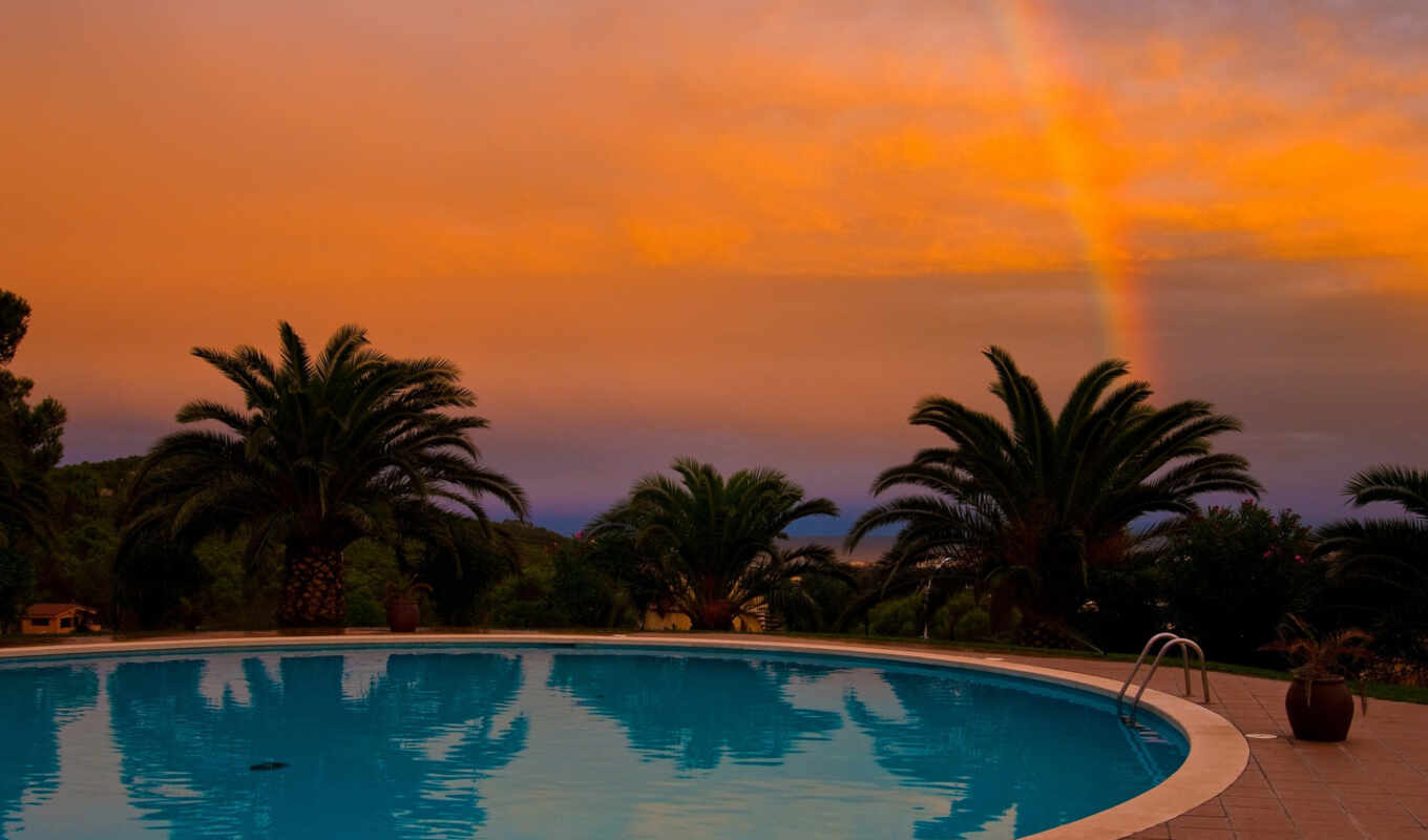 blue, sunset, water, swimming pool, palm