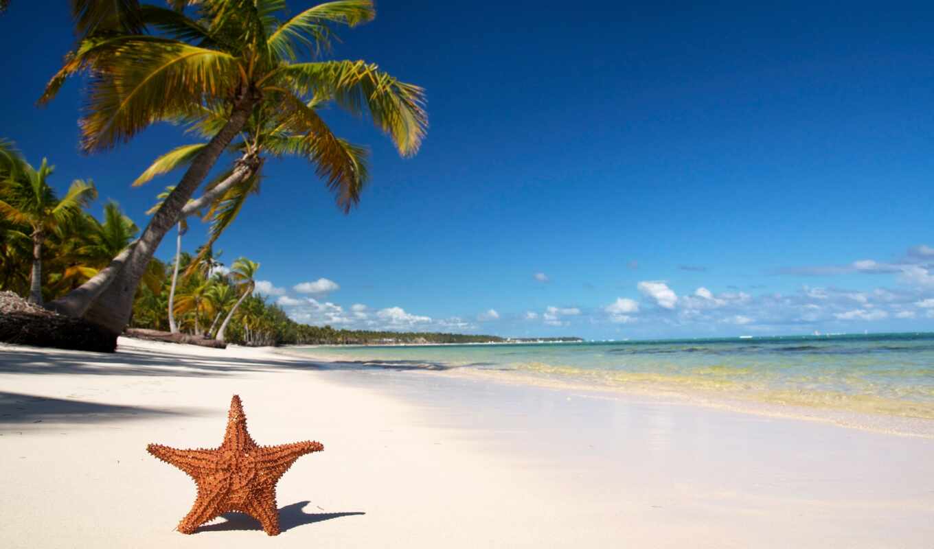 пляж, москва, novel, отдых, palm, everything, включен, punt, dominikan