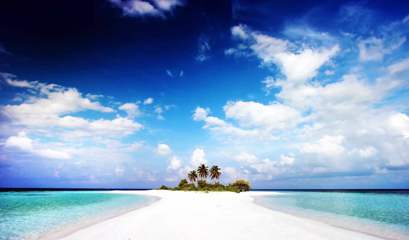 хороший, коллекция, white, пляж, песок, her, качество, остров, главное, palm